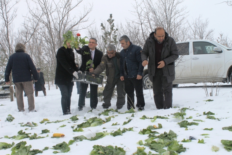 Yaban Hayvanları İçin Doğaya Yem Bırakıldı.