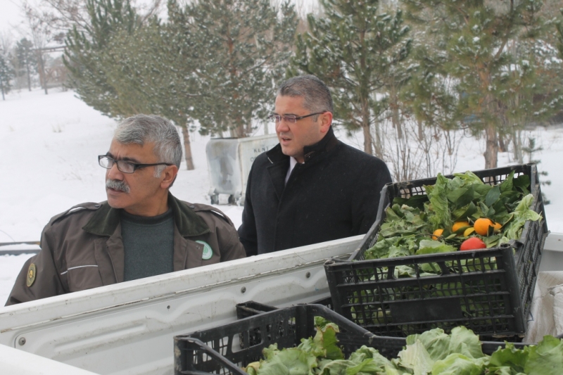 Yaban Hayvanları İçin Doğaya Yem Bırakıldı.