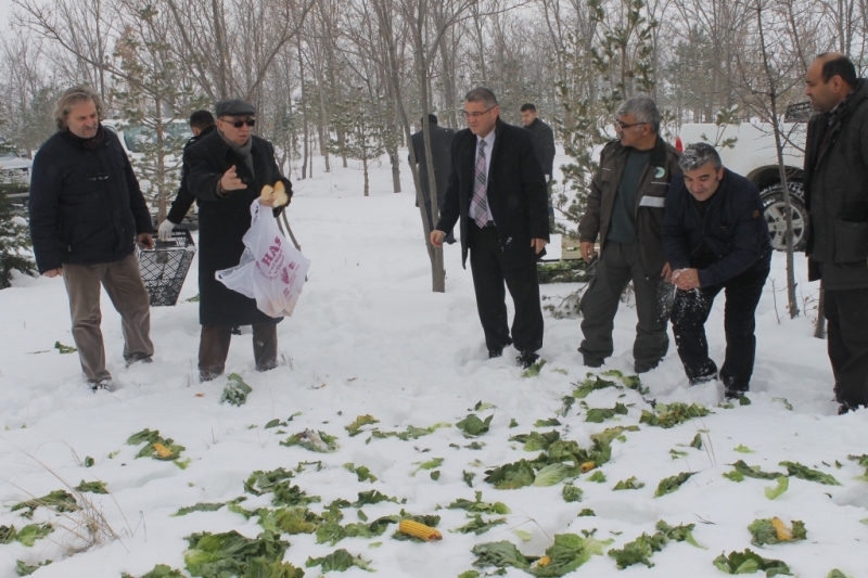 Yaban Hayvanları İçin Doğaya Yem Bırakıldı.