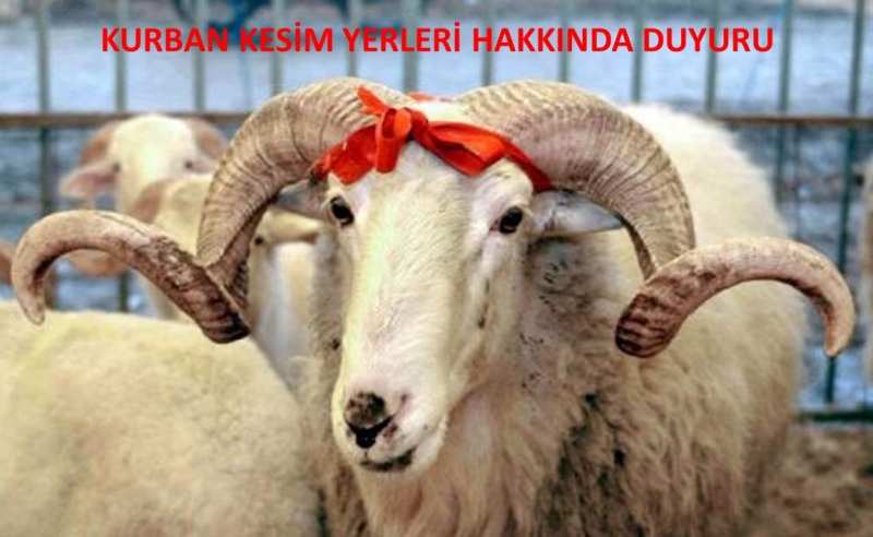 KURBAN SATIŞ VE KESİM YERLERİ HAKKINDA DUYURU