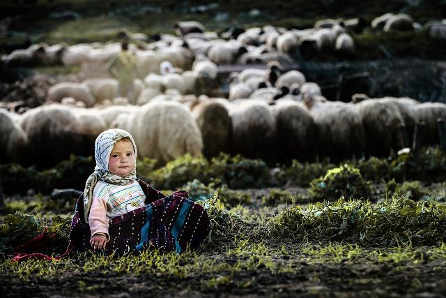 İzmir Çevre ve Şehircilik İl Müdürlüğü Tarafından Düzenlenen  Çevre ve Çocuk Konulu Fotoğraf Yarışması Sonuçları