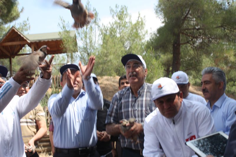 05 HAZİRAN DÜNYA ÇEVRE GÜNÜ VE ÇEVRE HAFTASI ETKİNLİKLERİ KAPSAMINDA KAPIÇAM TABİAT PARKINDA DOĞA YÜRÜYÜŞÜ YAPILDI.