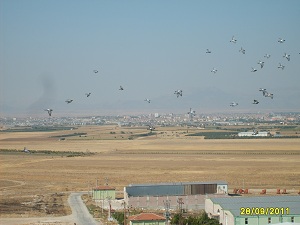 TÜRKİYENİN EN TEMİZ SANAYİ TESİSİ YARIŞMASI