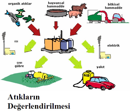 HAYVANCILIK ÜRETİM TESİSLERİNİE YÖNELİK ÇEVRE KURULU KARARI