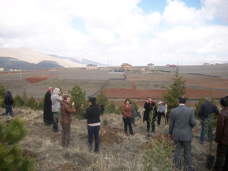 Çevre ve Şehircilik İl Müdürlüğü Hatıra Ormanımıza fidan dikimi yapıldı.