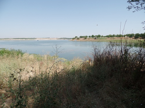 Battalgazi İlçesinde Kıyı Kenar Tespiti Çalışmalarımız