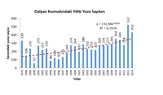 Dalyan-İztuzu Kumsalında Koruma Çalışmaları Etkisini Gösteriyor.