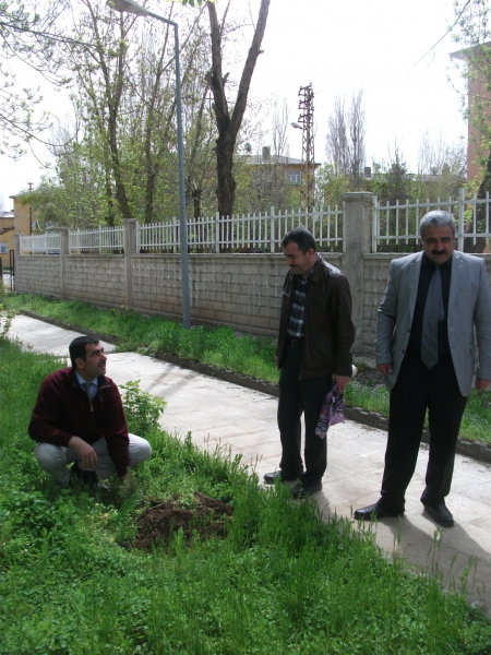 İL MÜDÜRLÜĞÜMÜZCE AĞAÇ DİKİMİ YAPILDI.
