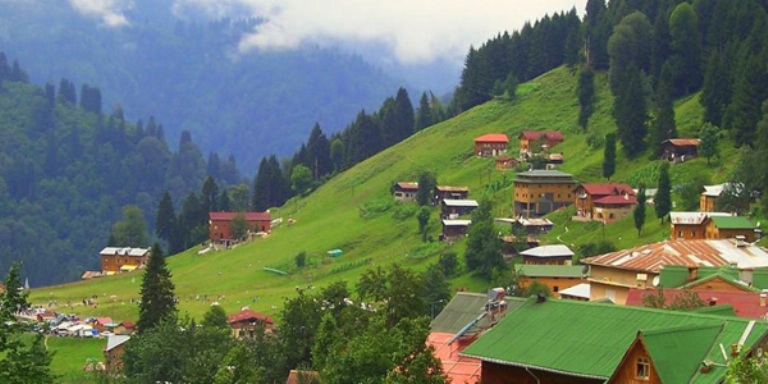 Rize İli Doğal Sit Alanları, Tabiat Varlıkları ve Anıt Ağaçlar 