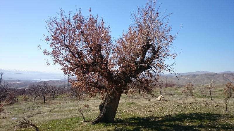 TABİAT VARLIKLARINI KORUMA BÖLGE KOMİSYONU TOPLANTILARI DEVAM EDİYOR.