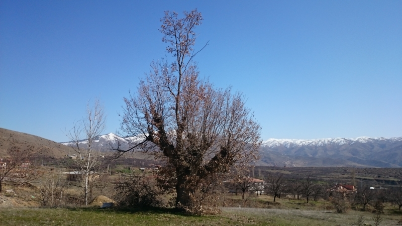 TABİAT VARLIKLARINI KORUMA BÖLGE KOMİSYONU TOPLANTILARI DEVAM EDİYOR.