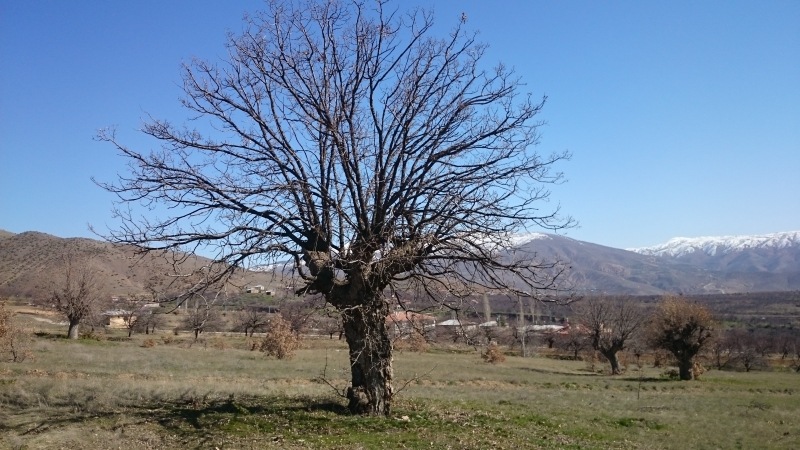 TABİAT VARLIKLARINI KORUMA BÖLGE KOMİSYONU TOPLANTILARI DEVAM EDİYOR.