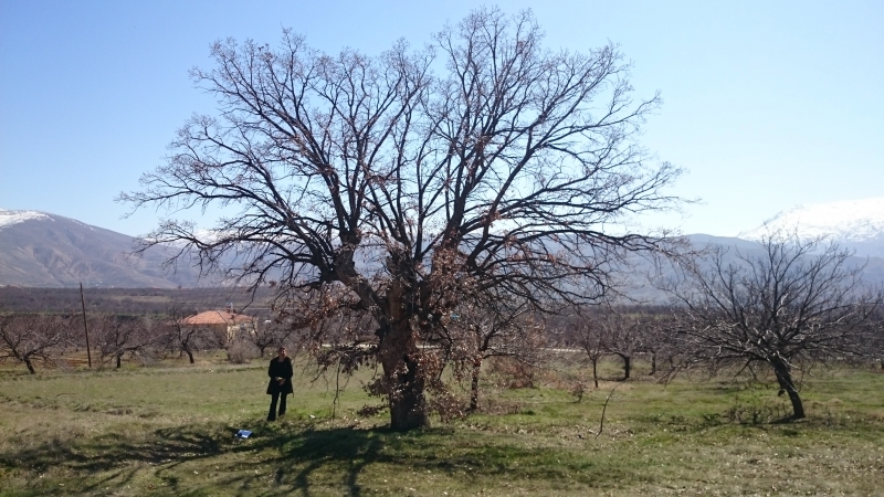 TABİAT VARLIKLARINI KORUMA BÖLGE KOMİSYONU TOPLANTILARI DEVAM EDİYOR.