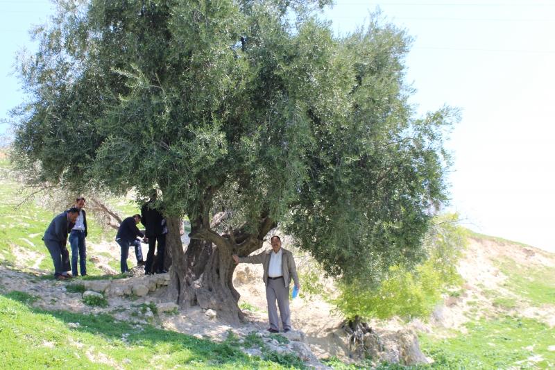 Şanlıurfa Tabiat Varlıklarını Koruma Şube Müdürlüğü Adıyaman İli Ve İlçelerin de incelemeler de bulundu.