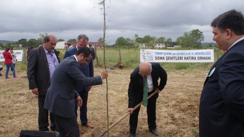 Soma'da Ölenler İçin Fidan Dikildi