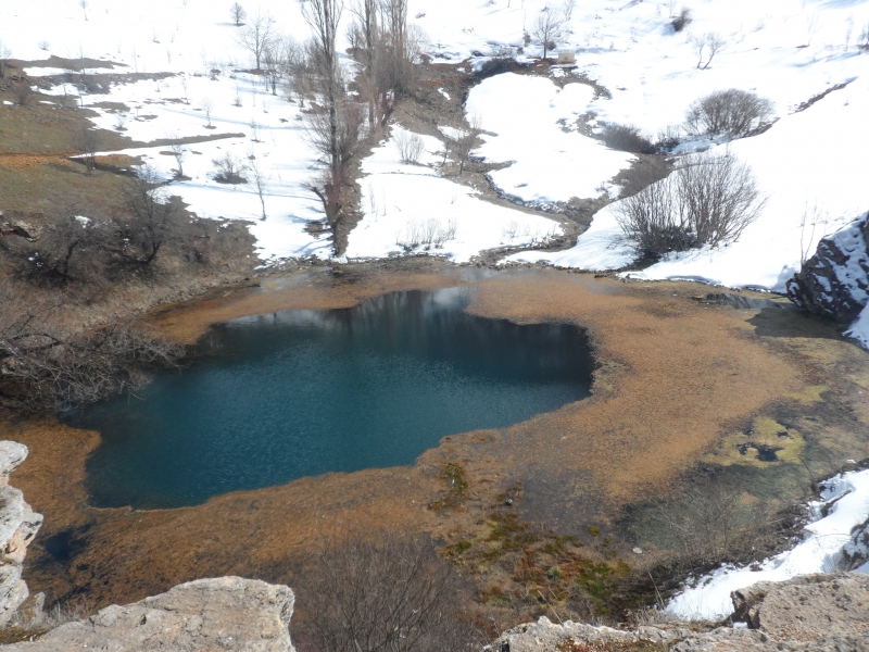 KAYSERİ, SİVAS, MALATYA VE YOZGAT İLLERİ DOĞAL SİT ALANLARININ EKOLOJİK TEMELLİ BİLİMSEL ARAŞTIRMA PROJESİ 1. DÖNEM ARAZİ ÇALIŞMALARI