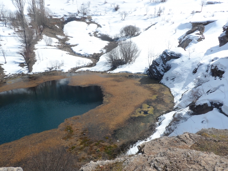 KAYSERİ, SİVAS, MALATYA VE YOZGAT İLLERİ DOĞAL SİT ALANLARININ EKOLOJİK TEMELLİ BİLİMSEL ARAŞTIRMA PROJESİ 1. DÖNEM ARAZİ ÇALIŞMALARI