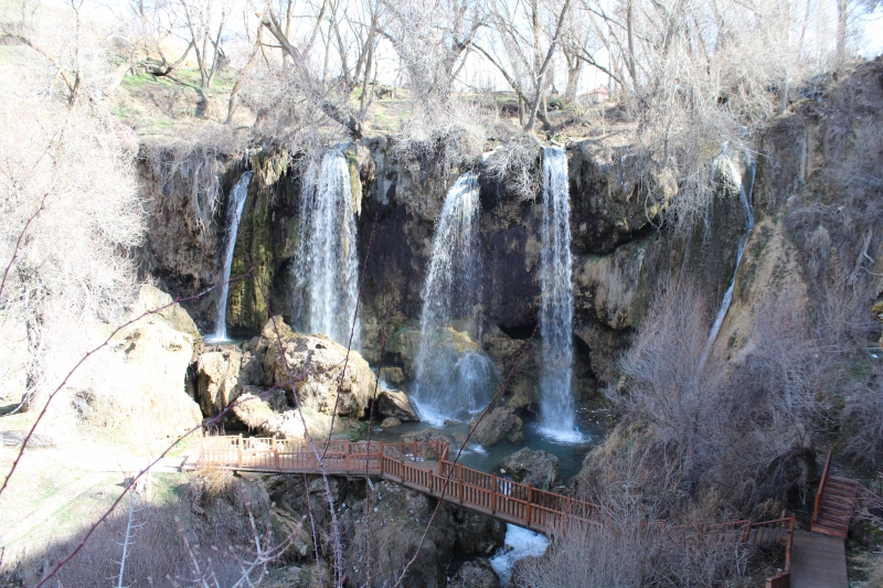 KAYSERİ, SİVAS, MALATYA VE YOZGAT İLLERİ DOĞAL SİT ALANLARININ EKOLOJİK TEMELLİ BİLİMSEL ARAŞTIRMA PROJESİ 1. DÖNEM ARAZİ ÇALIŞMALARI-2