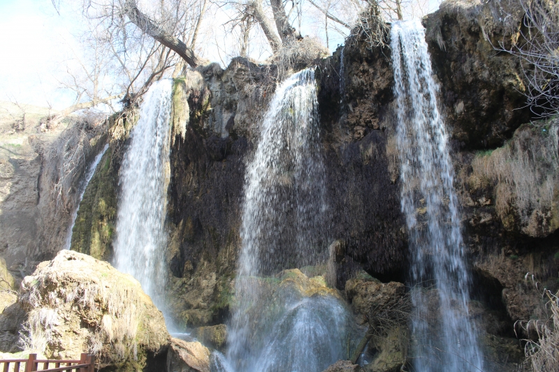 KAYSERİ, SİVAS, MALATYA VE YOZGAT İLLERİ DOĞAL SİT ALANLARININ EKOLOJİK TEMELLİ BİLİMSEL ARAŞTIRMA PROJESİ 1. DÖNEM ARAZİ ÇALIŞMALARI-2