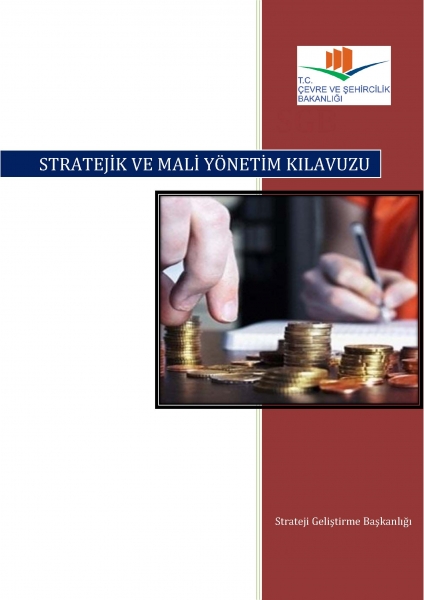 Stratejik ve Mali Yönetim Kılavuzu