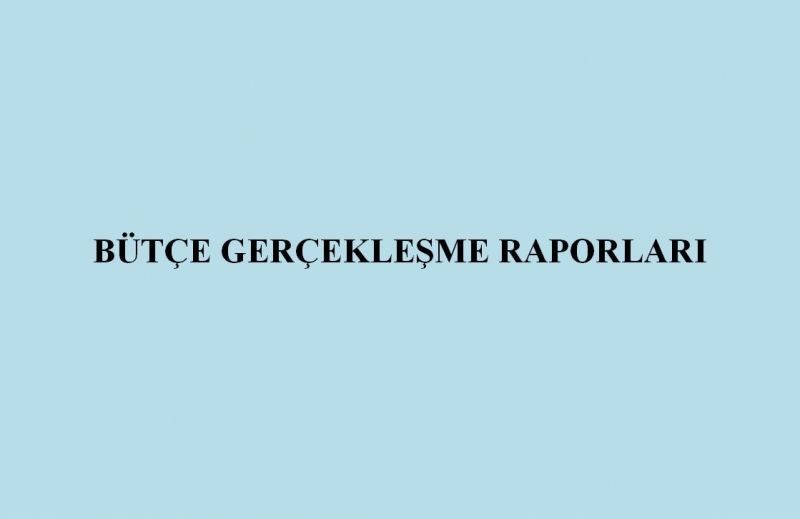 Bütçe Gerçekleşme Raporları