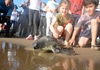 TEDAVİSİ TAMAMLANAN CARETTA CARETTA'LAR DENİZLE BULUŞTU