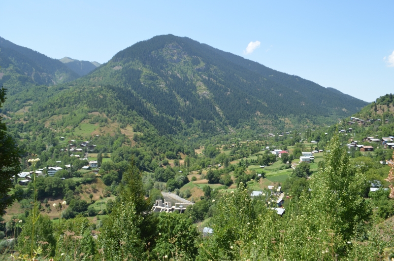 Trabzon Tabiat varlıklarını koruma bölge komisyonunun yetki ve sorumluluğundaki korunan alanlar