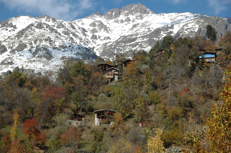 Trabzon Tabiat varlıklarını koruma bölge komisyonunun yetki ve sorumluluğundaki korunan alanlar