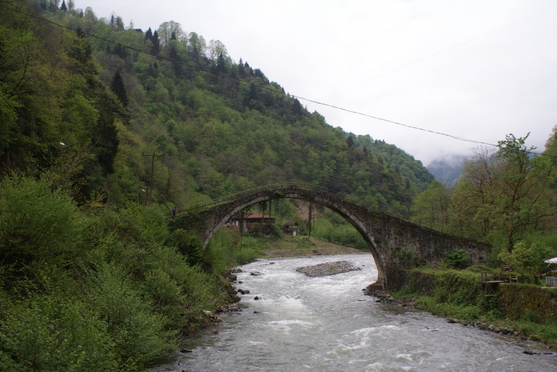 Trabzon Tabiat varlıklarını koruma bölge komisyonunun yetki ve sorumluluğundaki korunan alanlar