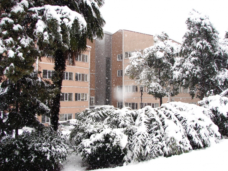 MÜDÜRLÜĞÜMÜZ BAHÇESİNDE KAR MANZARALARI