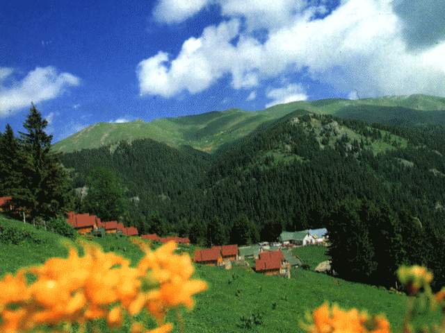 TRABZON' a EN TEMİZ ŞEHİR ÖDÜLÜ