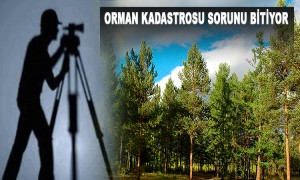 Orman Kadastrosu Sorunu Bitiyor