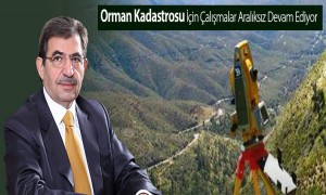  Orman Kadastrosu İçin Çalışmalar Aralıksız Devam Ediyor