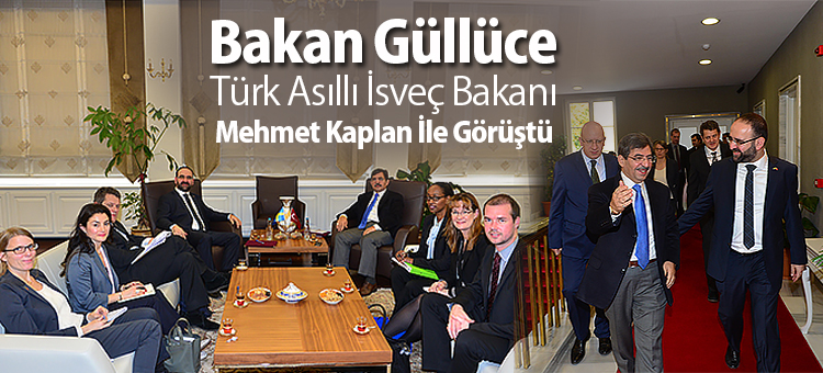  Bakan Güllüce Türk Asıllı İsveç Bakanı Mehmet Kaplan İle Görüştü