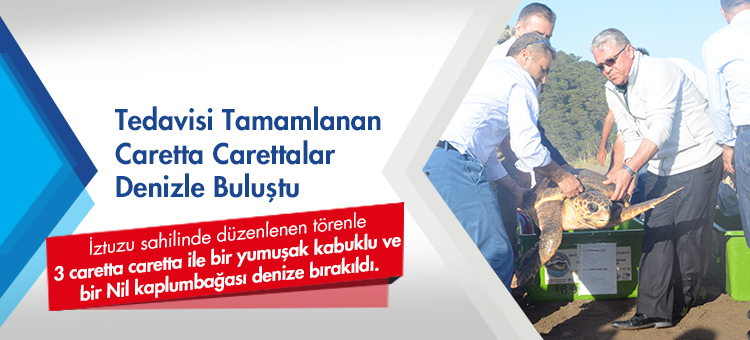 Tedavisi Tamamlanan Caretta Carettalar Denizle Buluştu