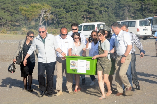Tedavisi Tamamlanan Caretta Carettalar Denizle Buluştu