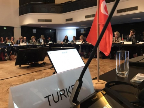 İklim Değişikliği Başmüzakerecisi Birpınar Uluslararası İklim Değişikliği Müzakerelerine Katıldı
