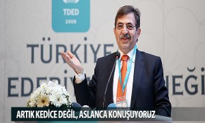 Artık Kedice Değil, Aslanca Konuşuyoruz