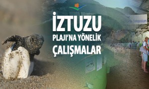  İztuzu Plajı'na Yönelik Çalışmalar