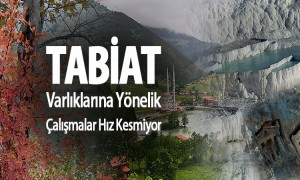  Bakanlık Tabiat Varlıklarına Yönelik Çalışmalarında Hız Kesmiyor