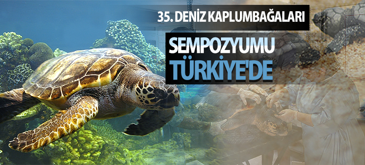    35. Deniz Kaplumbağaları Sempozyumu Türkiye'de   