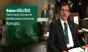       Bakan Güllüce, Paris'te Açılış Oturumu ile İsteklilik Çalışma Grubu'nda Konuştu