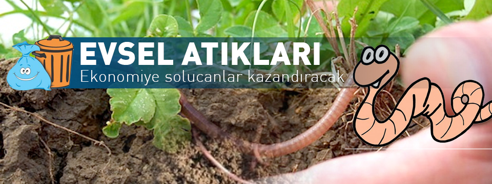 EVSEL ATIKLARI EKONOMİYE SOLUCANLAR KAZANDIRACAK