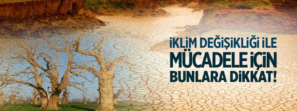 İklim Değişikliği İle Mücadelede Günlük Hayatta Alınacak Önlemler