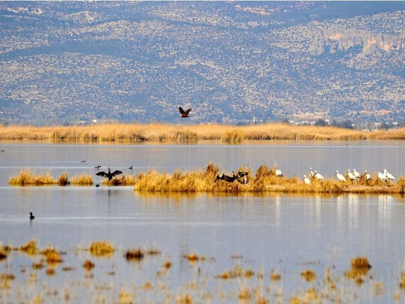 Korunan Alanlarda Yapılacak Planlar