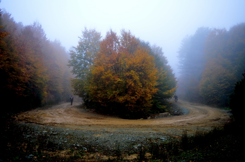 Fotoğraflarınızı Yayınlıyoruz