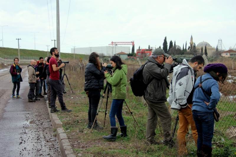 ARGE-15: Tersaneler Bölgesi Faaliyetlerinin Çevresel Etkilerinin İncelenmesi ve Modellenmesi Projesi