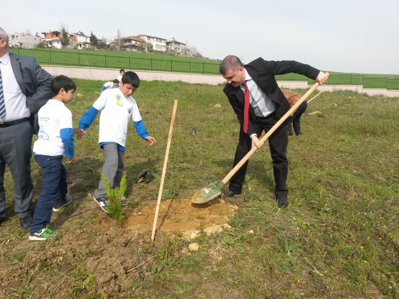 İl Müdürümüz, Orman Haftası Münasebetiyle Düzenlenen Fidan Dikim Törenine Katıldı.