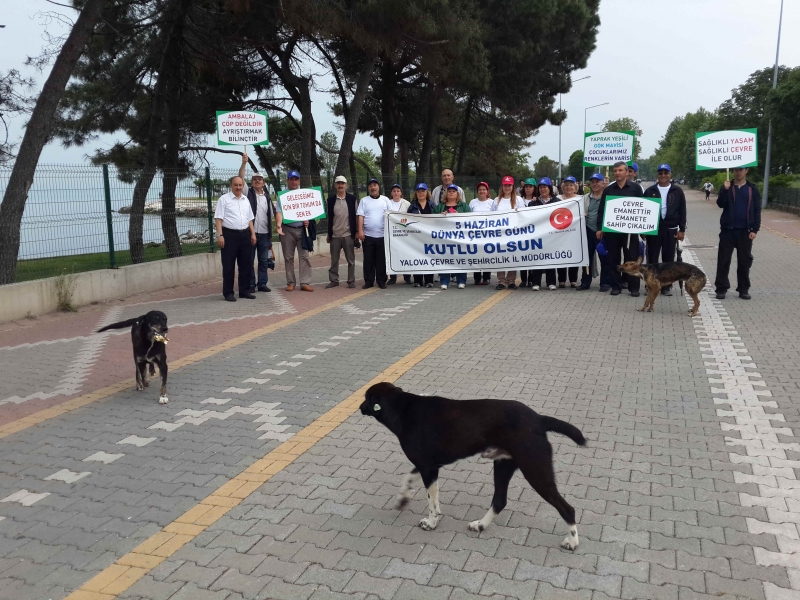 ÇEVRE YÜRÜYÜŞÜ 