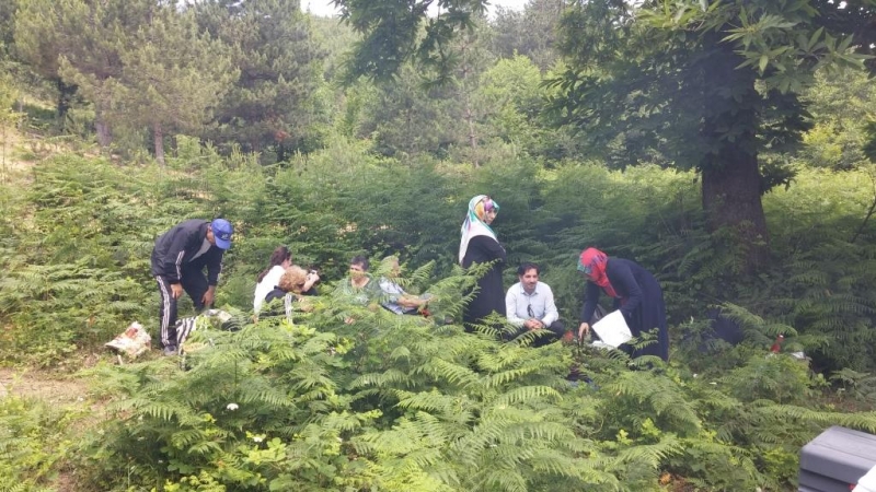 Doğa Yürüyüşümüzde hem spor hem eğlence